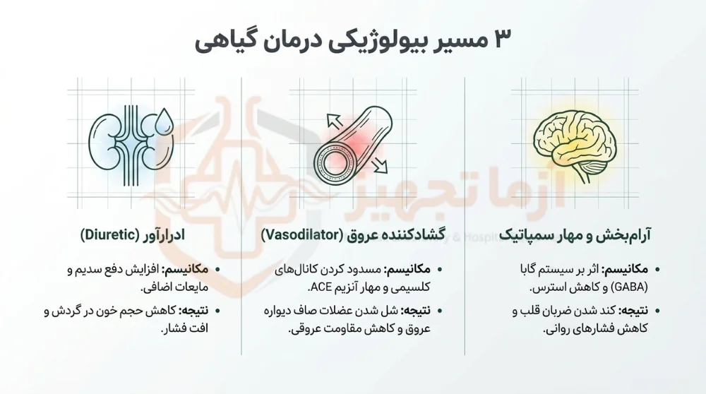 درمان فشار خون بالا با عرقیات گیاهی