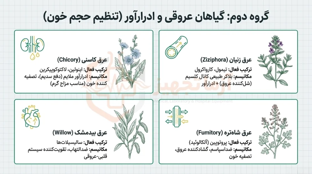 بهترین عرقیات گیاهی برای فشار خون بالا