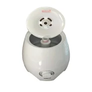 بخور سرد 4 لیتری مدل HQ-JS450S-2