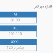 كمربند طبی سخت (با آتل پلی آميد) پاک سمن | کرست کمر طبی کد 01911