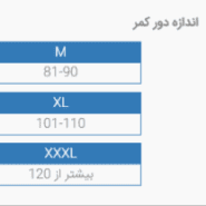 کمربند طبی نرم آتل دار (با كش الاستيک) پاک سمن | کرست کمر طبی کد 140212