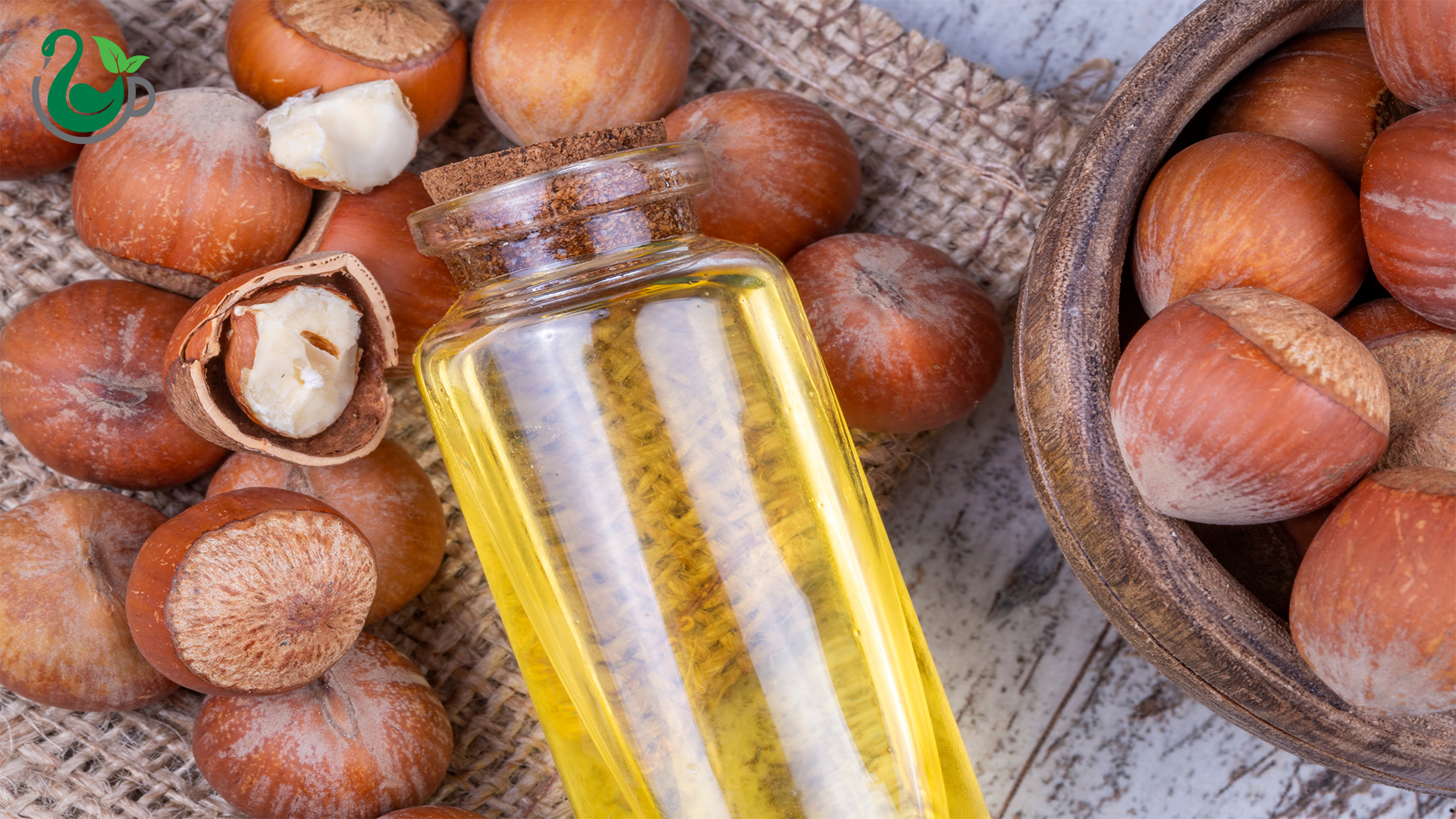 روغن فندق کاژان