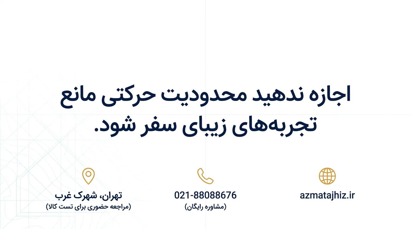 ویلچر مسافرتی