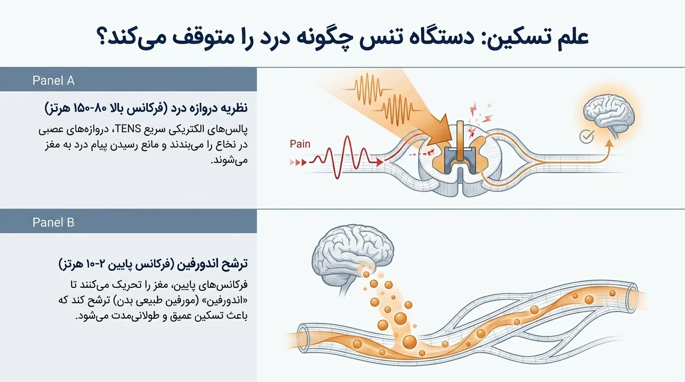 دستگاه فیزیوتراپی تنس