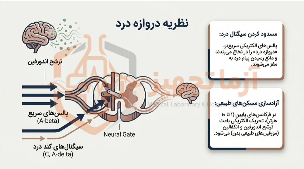 تنس خانگی تنس خانگی