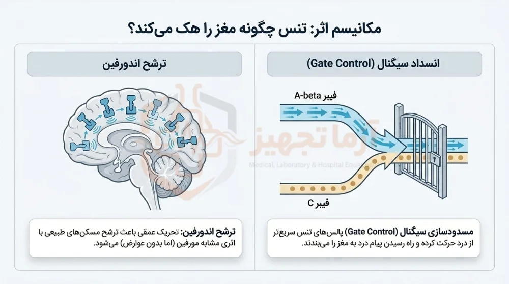 مکانیسم اثر دستگاه تنس بر روی درد مکانیسم اثر دستگاه تنس بر روی درد